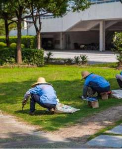 室外绿化养护